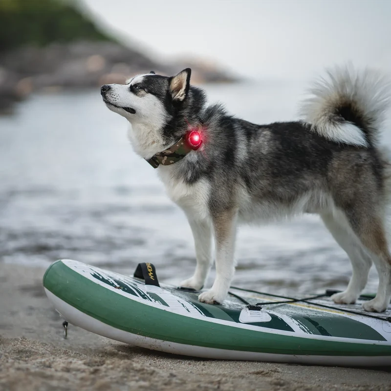 Orbiloc Dog Dual