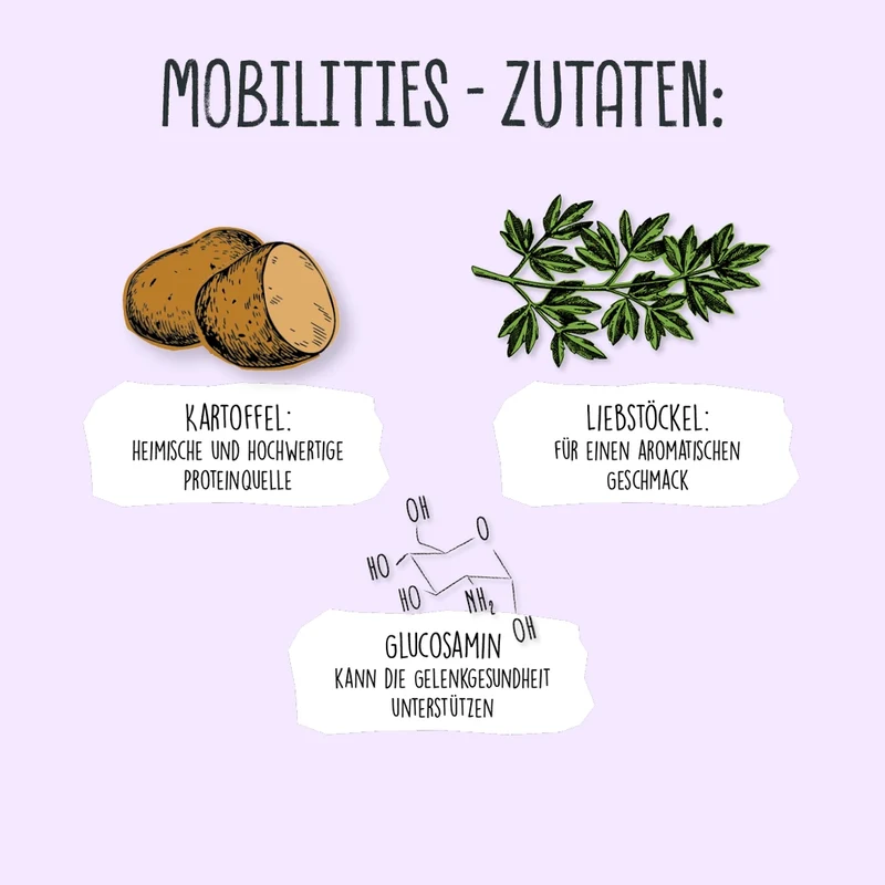 MOBILITIES MINIS