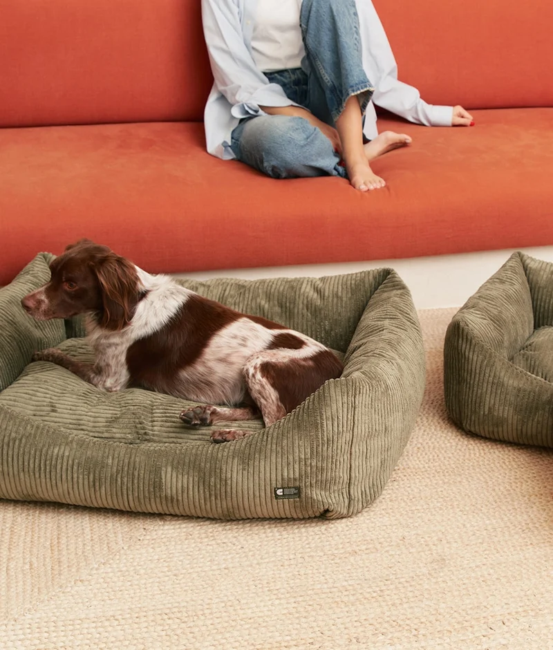 Kord-Hundebett Snozy Grün