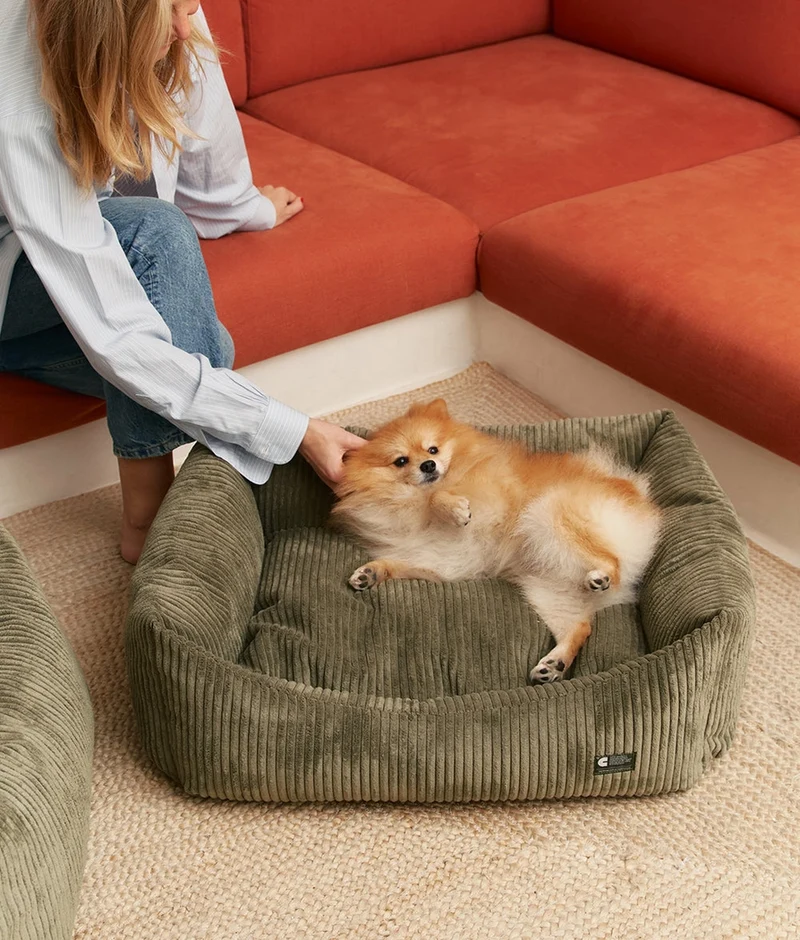 Kord-Hundebett Snozy Grün