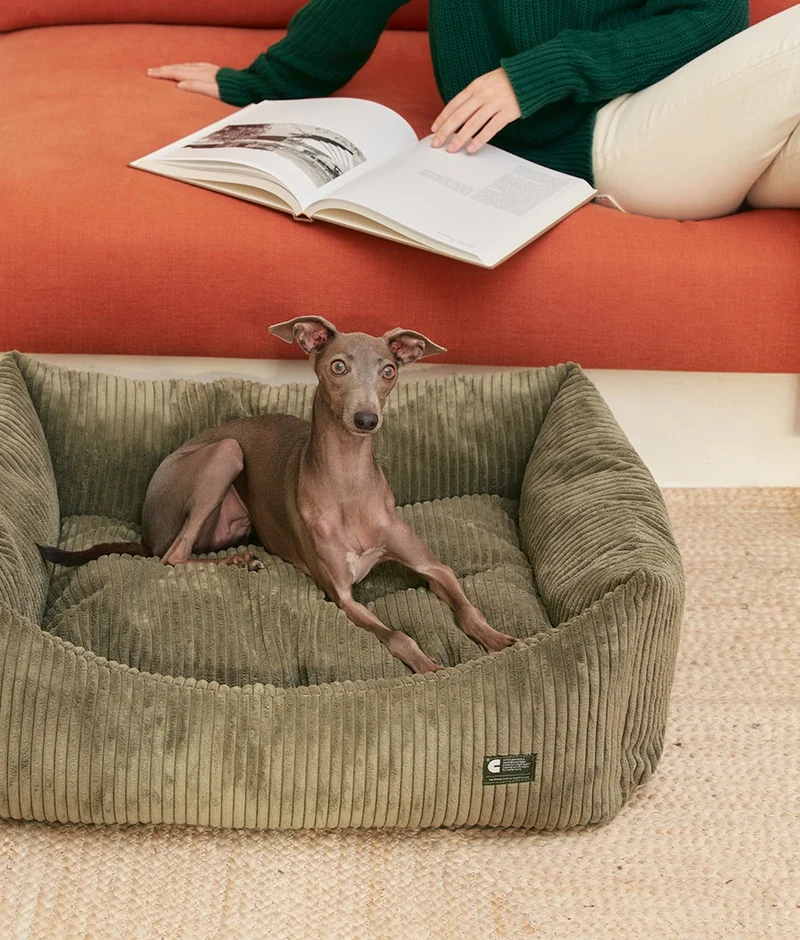 Kord-Hundebett Snozy Grün