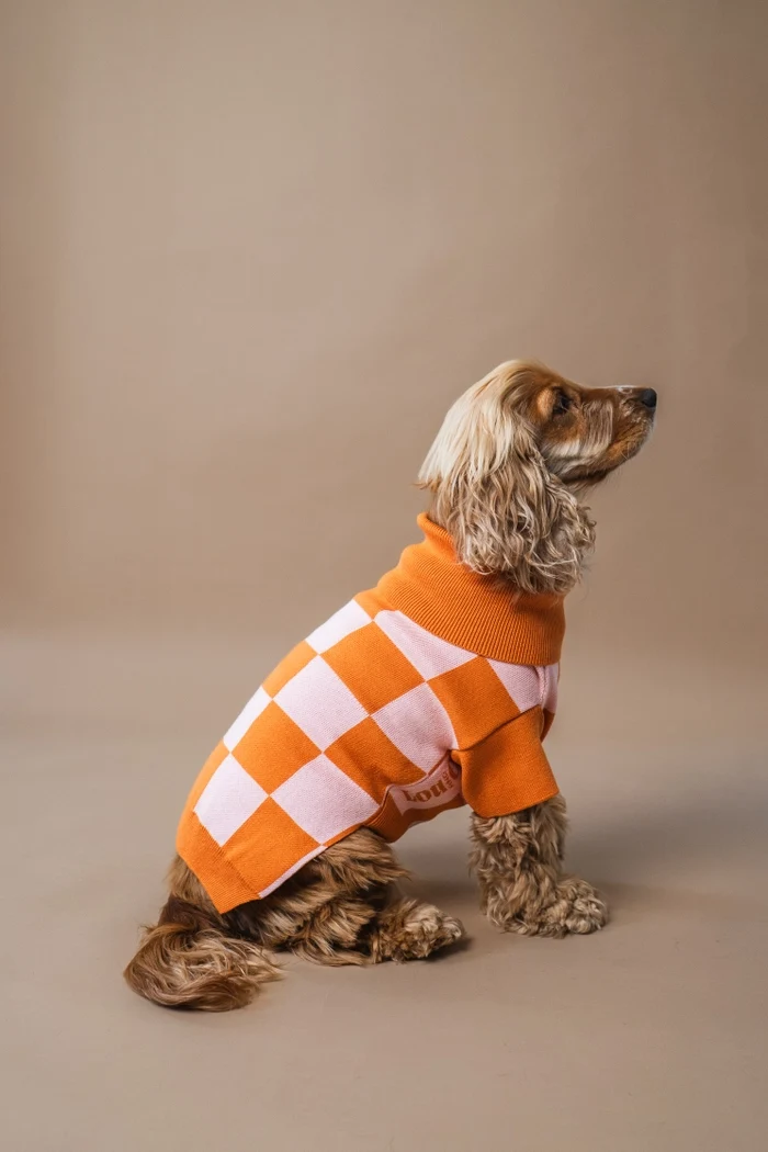 gestrickter Hundepullover mit Karos