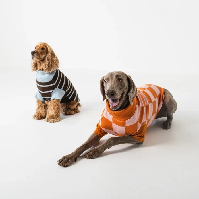 gestrickter Hundepullover mit Streifen
