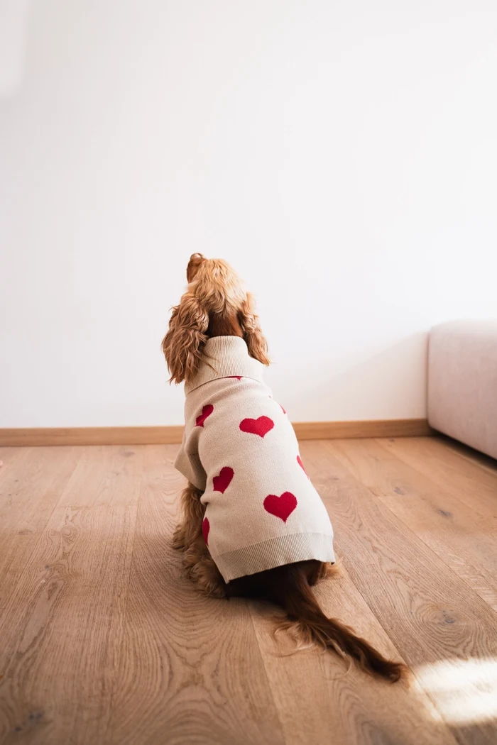 gestrickter Hundepullover mit Herzen