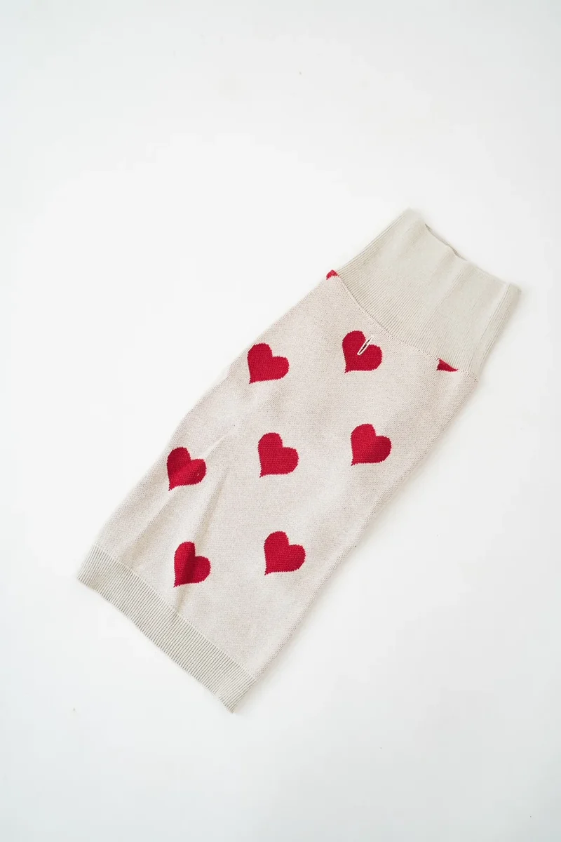 gestrickter Hundepullover mit Herzen