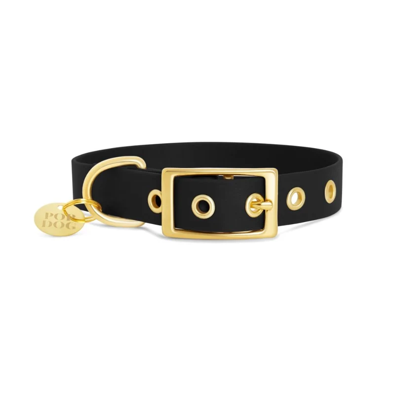Handgemachtes Hundehalsband Biothane – BADASS