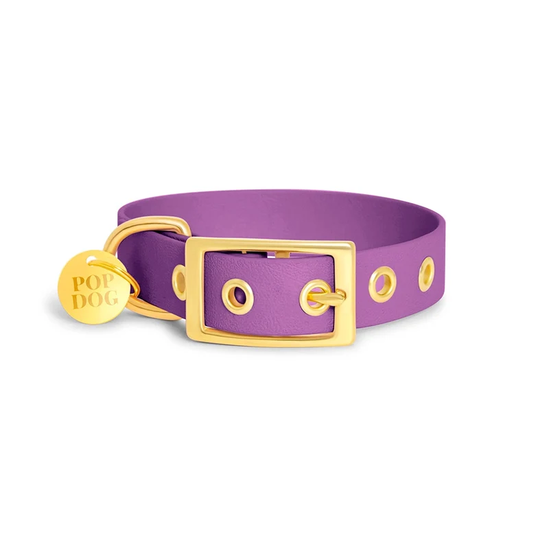 Handgemachtes Hundehalsband Biothane – PRECIOUS