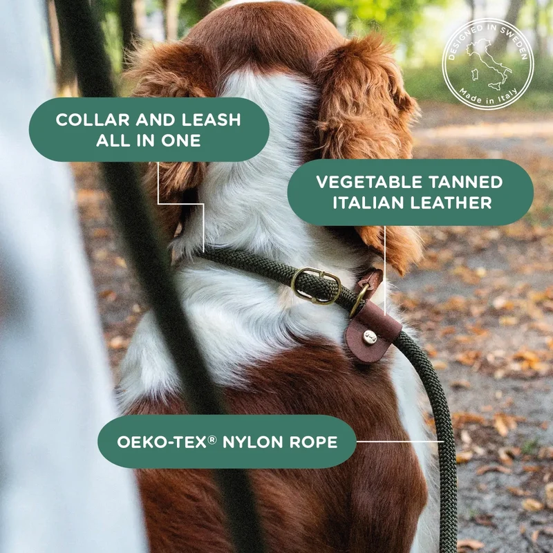 Retrieverleine Torekov Shimmer Green