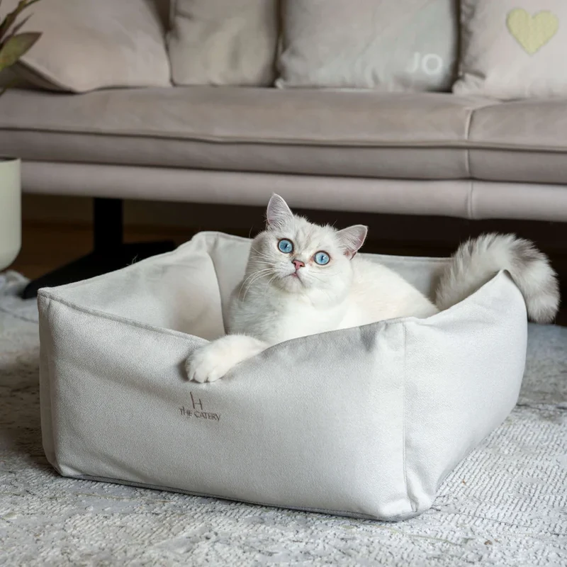Katzenbett Loft