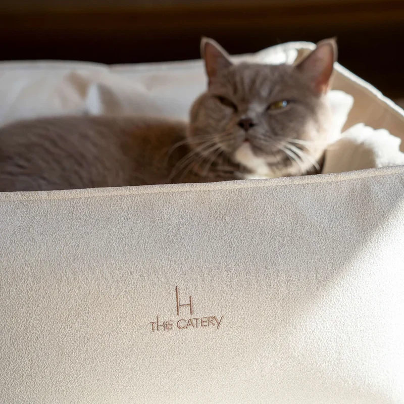 Katzenbett Loft
