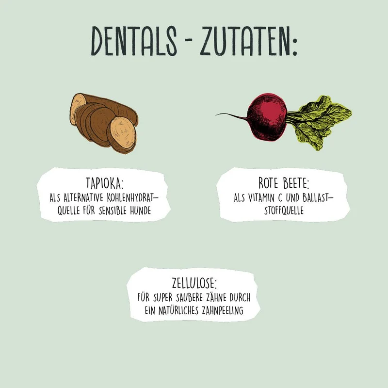 DENTALS XL