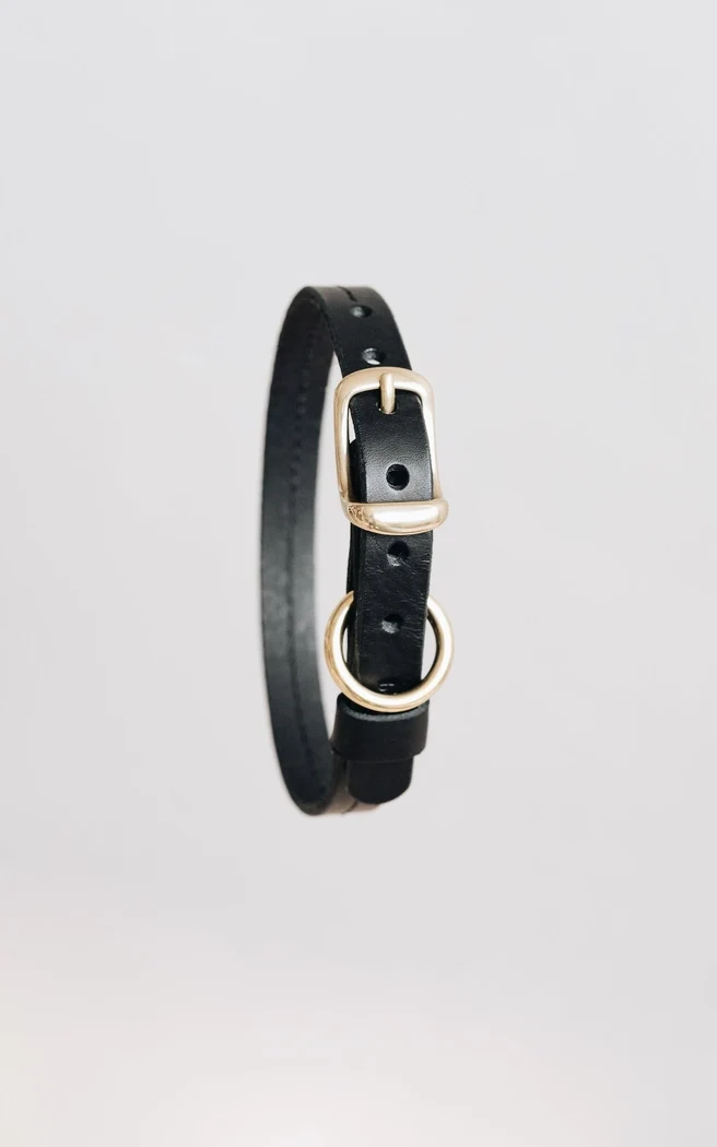 Hundehalsband FIR AIR Schwarz