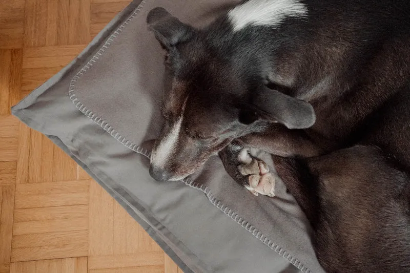 Hundedecke "Coco" | Stone Grey