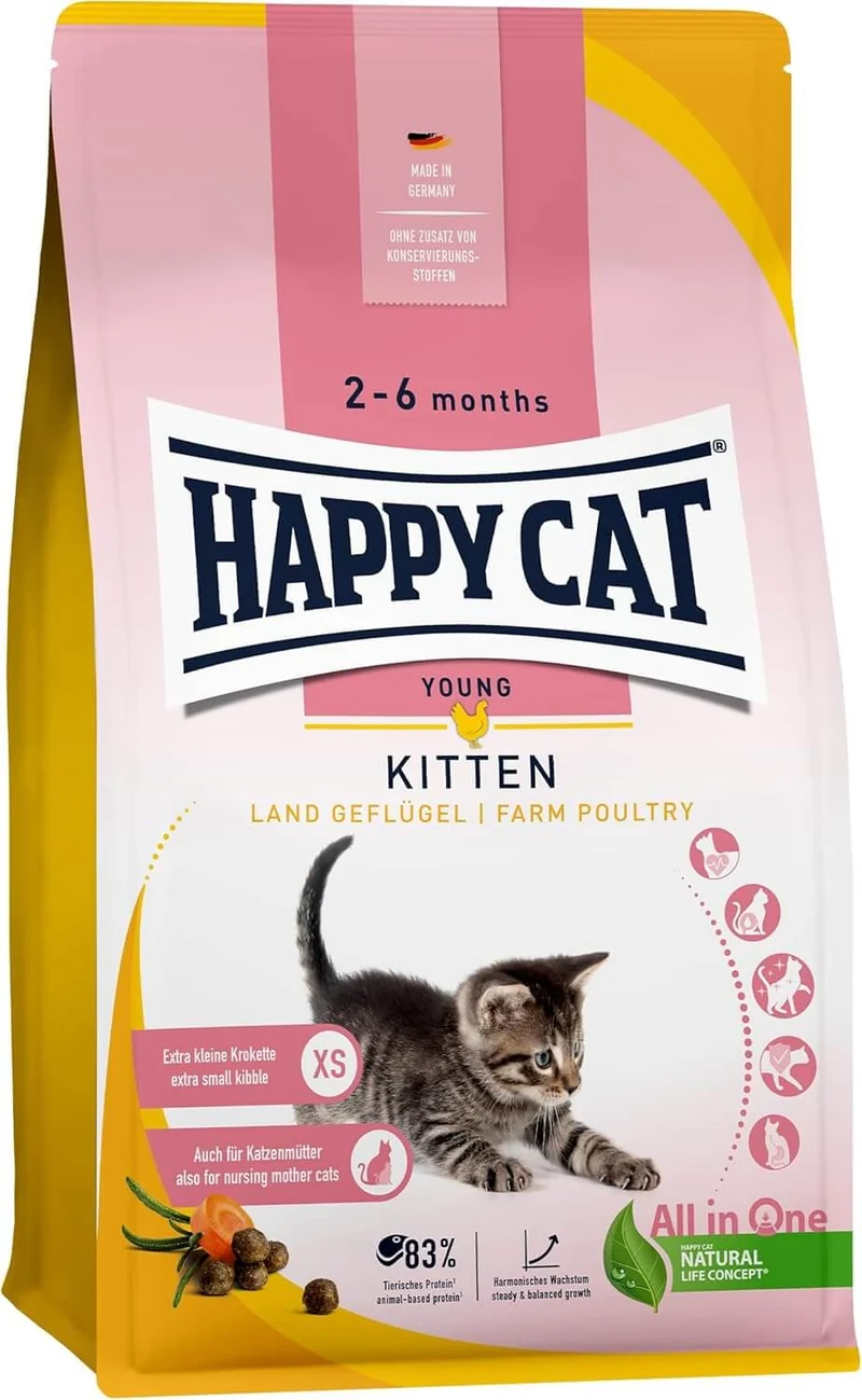 Happy Cat Young Kitten Land Geflügel