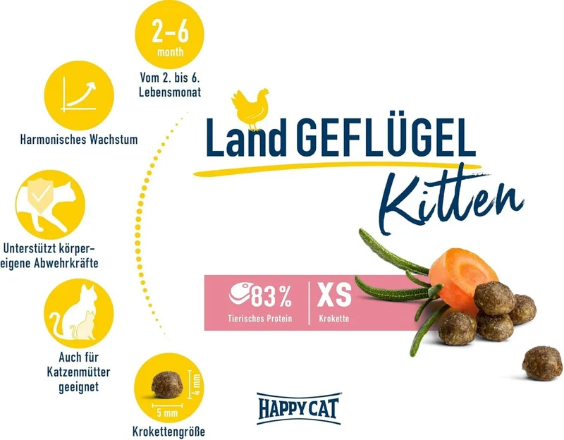 Happy Cat Young Kitten Land Geflügel