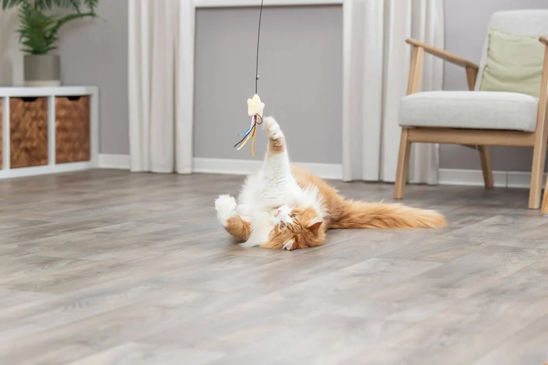 Trixie Katzen Spielangel mit Stern