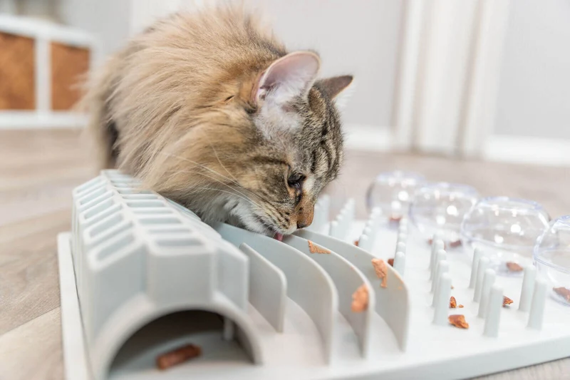 Trixie Katzen Fun Board Strategiespiel