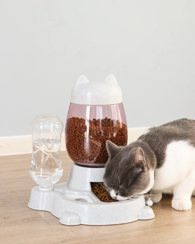 Pet Dog Cat Automatic Feeder Bow
