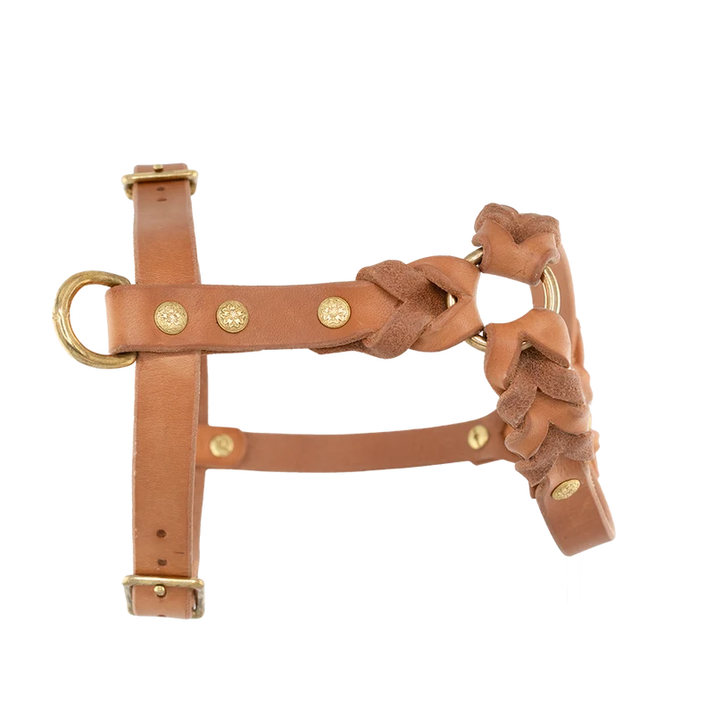 Hundegeschirr aus Leder