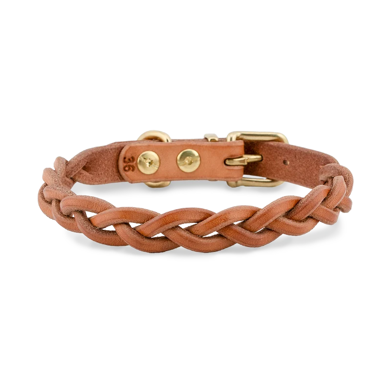 Hundehalsband aus Leder| für kleine Hunde