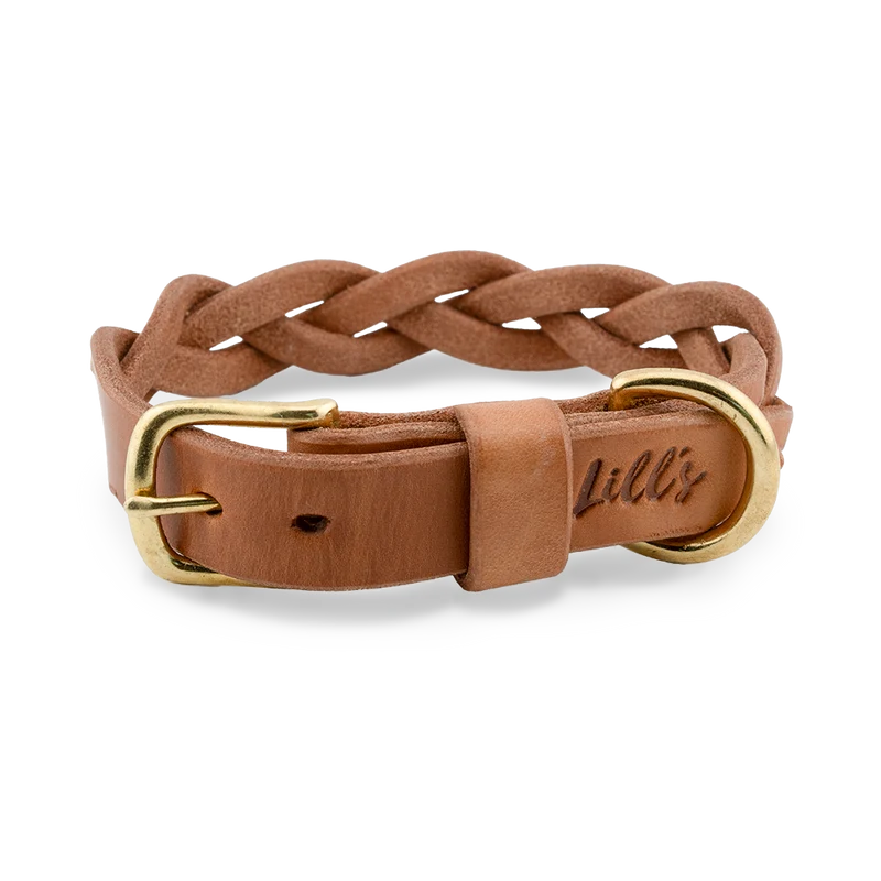 Hundehalsband aus Leder
