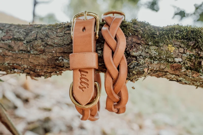 Hundehalsband aus Leder