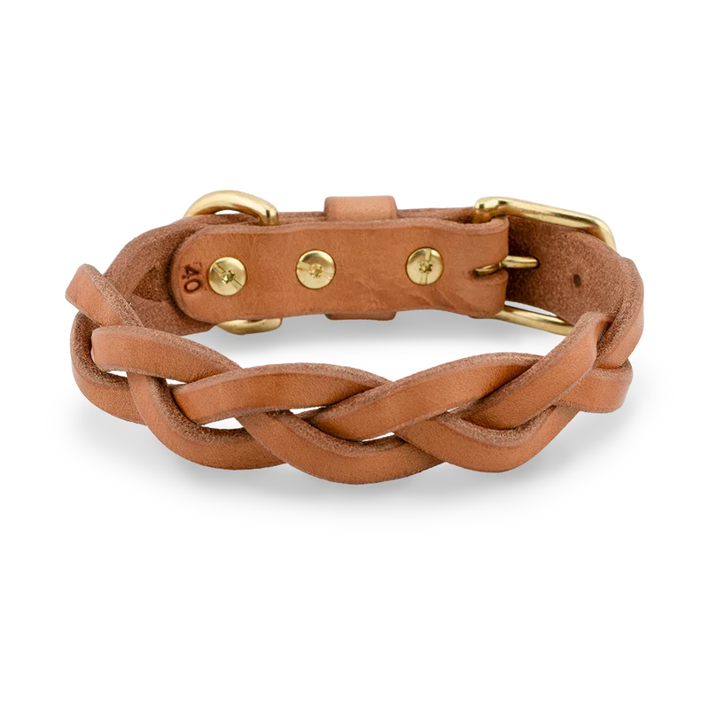 Hundehalsband aus Leder