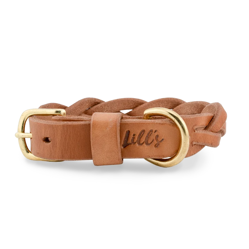 Hundehalsband aus Leder