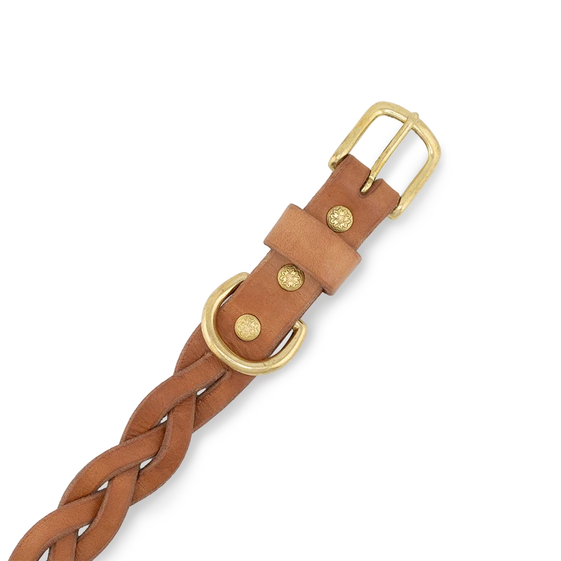 Hundehalsband aus Leder
