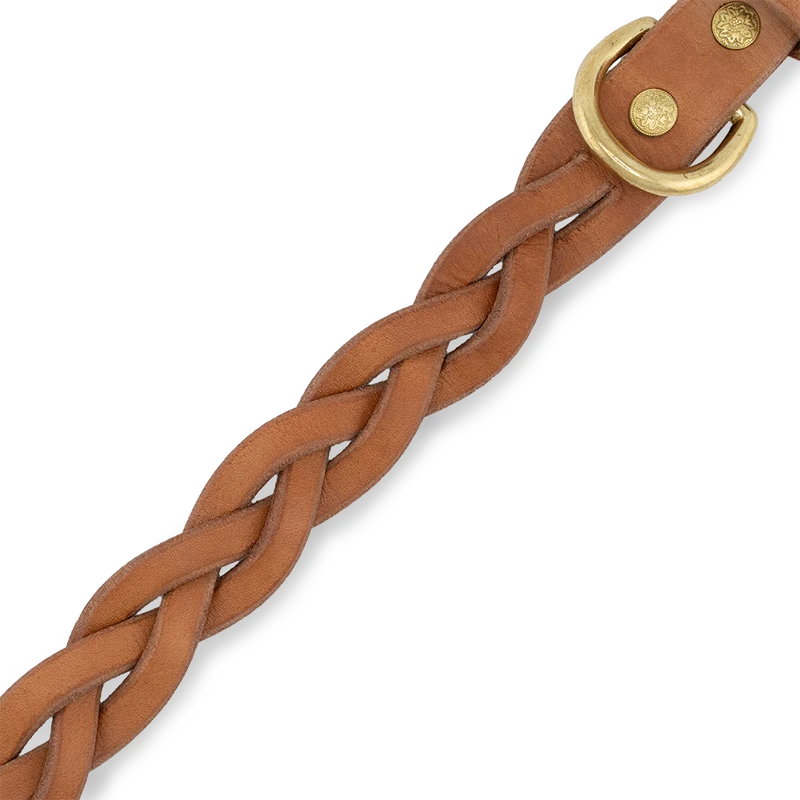 Hundehalsband aus Leder