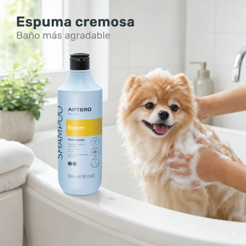 Artero Champu Bloom Argan