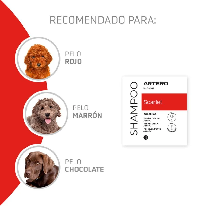 Artero Shampoo Scarlet Rojo 650ml