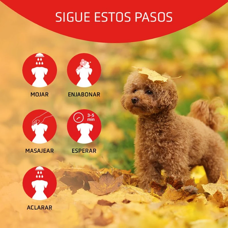 Artero Shampoo Scarlet Rojo 650ml