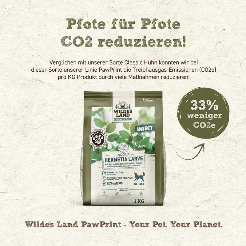 Wildes Land Hund Hermetia Larve mit Kartoffeln