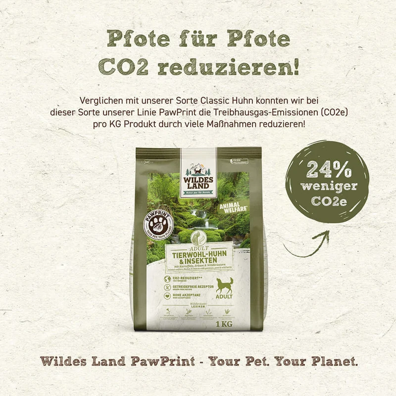 Wildes Land Hund Tierwohl-Huhn & Insekten