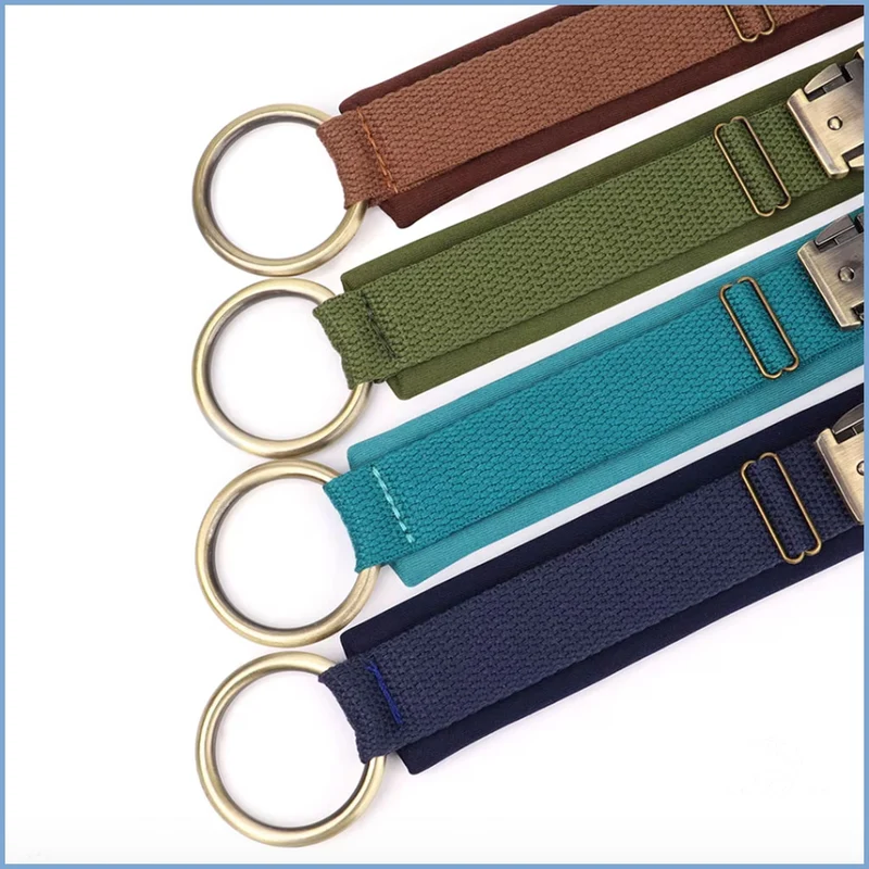 Nylon Hundehalsband mit Namen gepolstert