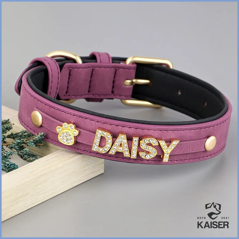 Hundehalsband mit Buchstaben