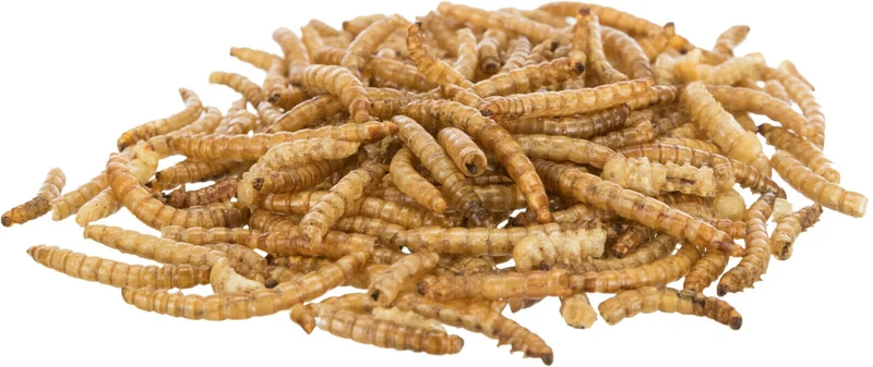 Trixie Mehlwürmer – proteinreicher Monoprotein-Snack für empfindliche Tiere