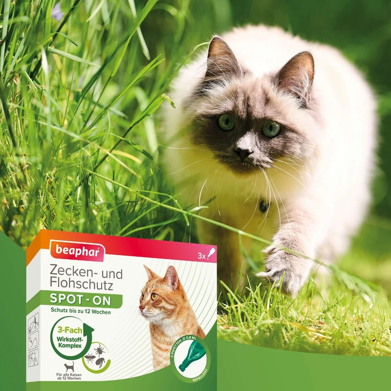Beaphar Zecken- und Flohschutz SPOT-ON 3x0,8ml, für Katzen