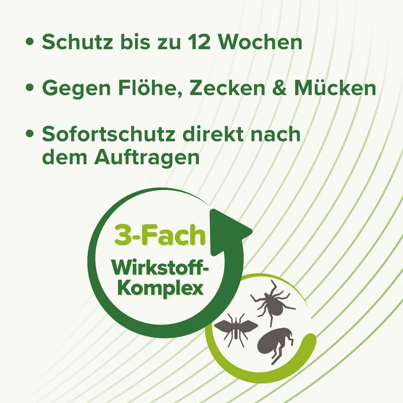 Beaphar Zecken- und Flohschutz SPOT-ON 3x0,8ml, für Katzen