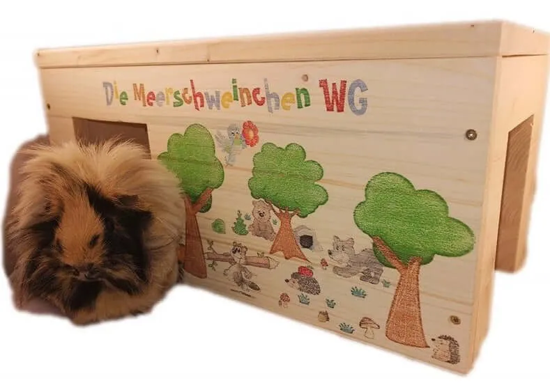 Meerschweinchenhaus Wald mit Wunschnamen