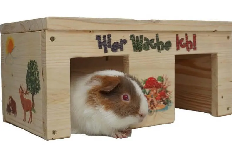 Nagerhaus Hier Wache Ich Meerschweinchen mit 2 Eingängen & Holzlasur