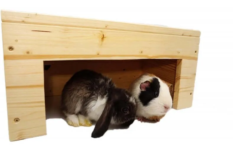 Meerschweinchen Kaninchen Unterstand sehr Stabil & mit Schutzlasur
