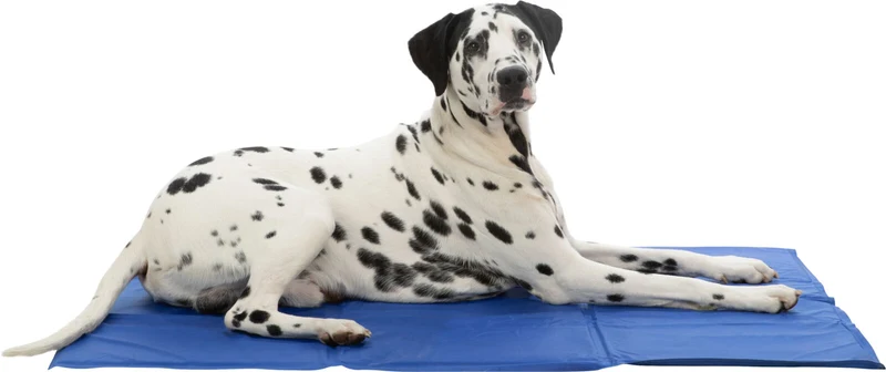 Trixie Kühlmatte – Erfrischende Abkühlung für deinen Hund