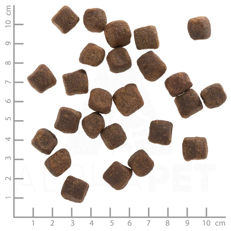 Wolfsblut Adult Dark Forest Trockenfutter