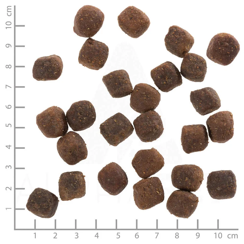 Wolfsblut Adult Deep Glade Trockenfutter