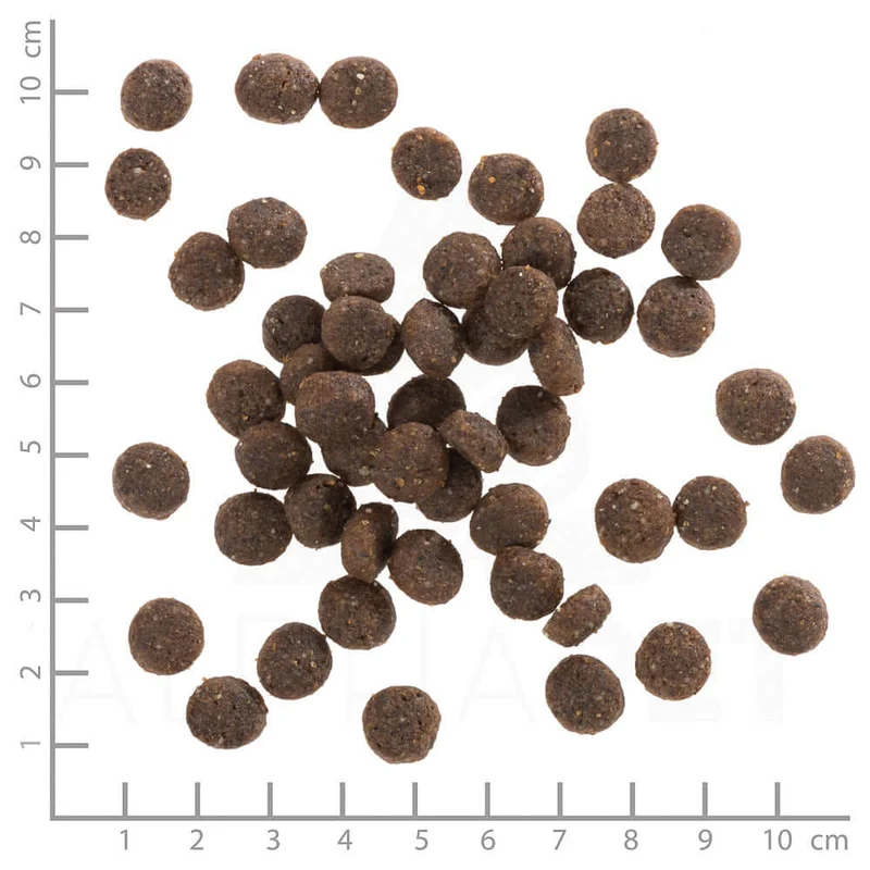 Wolfsblut Puppy Range Lamb Trockenfutter
