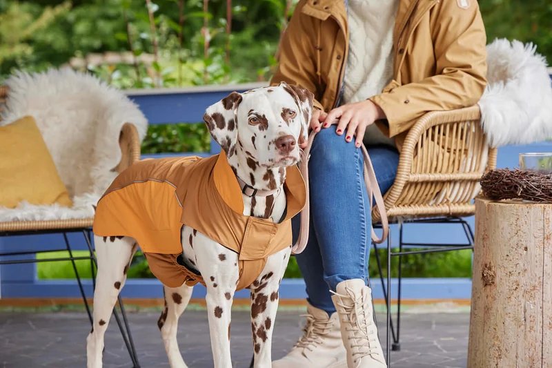 Wolters Regenjacke Easy Rain Salbeigrün