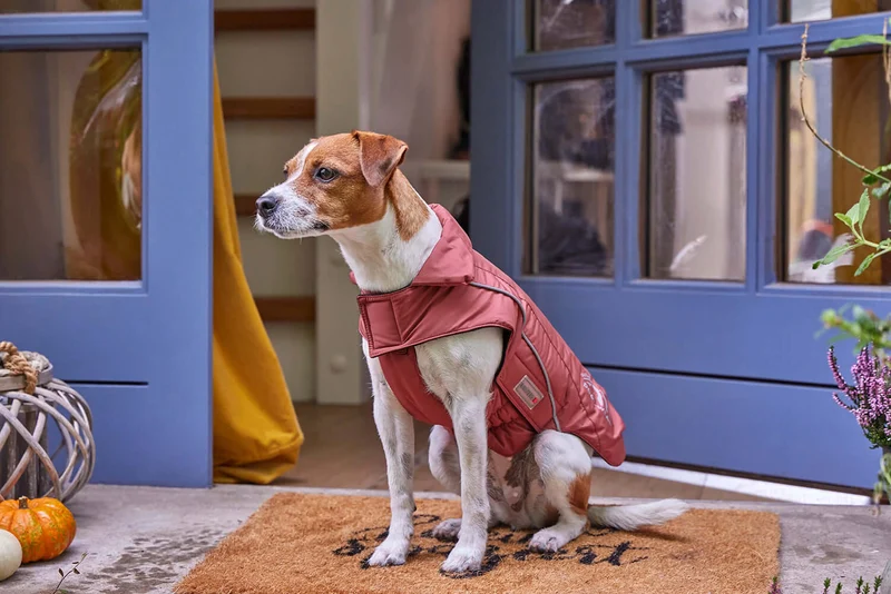 Wolters Skijacke Dogz-Wear Rostrot