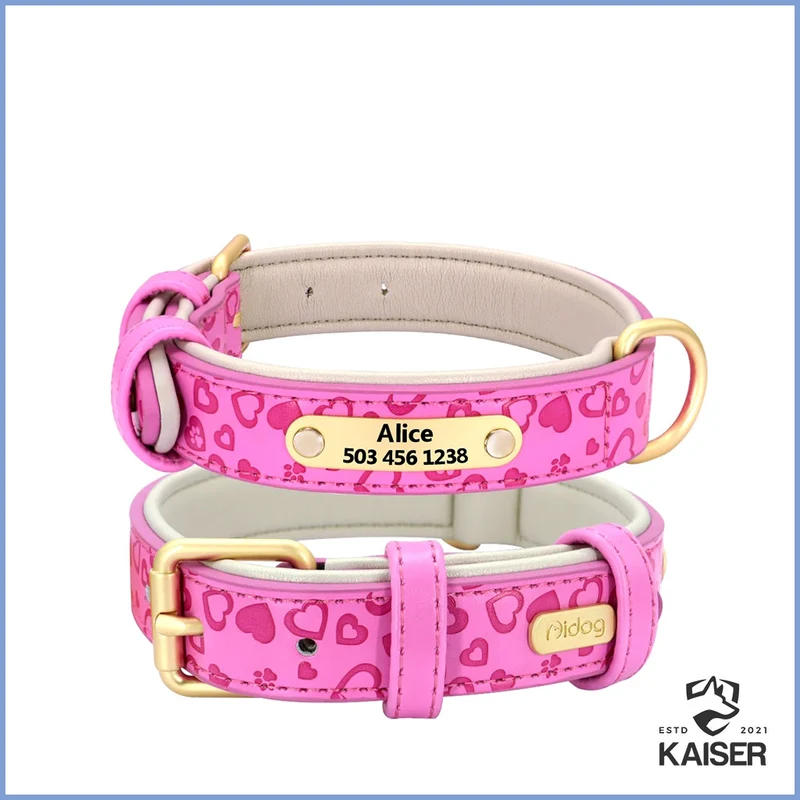 Gepolstertes Hundehalsband aus Leder mit Namensschild